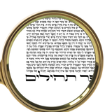 Entire Book of Psalms Art Print (Microtext Tehillim) - Harp