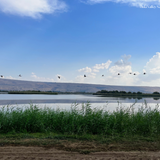 Hula Valley Nature Reserve Print
