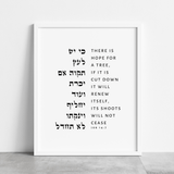 The Verse Job 14:7 Job 14:7 |Bible Verse Wall Art Print | There is hope for a tree